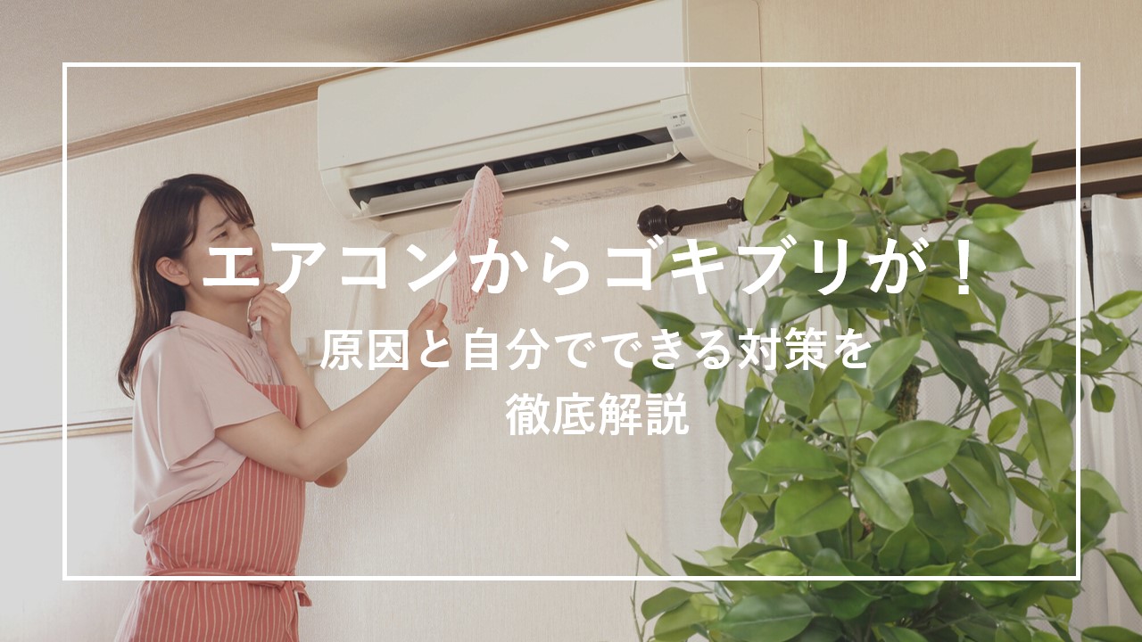 エアコンからゴキブリが！原因と自分でできる対策を徹底解説のサムネイル画像