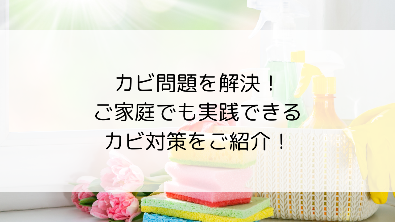 カビ問題を解決！ご家庭でも実践できるカビ対策をご紹介！